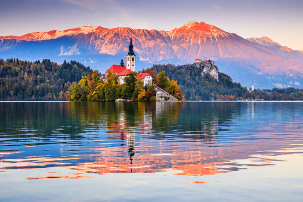 lago di bled, slovenia. - santa maria church foto e immagini stock