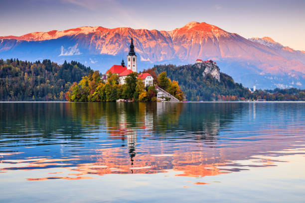 ブレッド湖、スロベニア。 - slovenia ストックフォトと画像