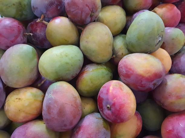 istock Mango :Tommy Atkins mango in a supermarket. 1350635817