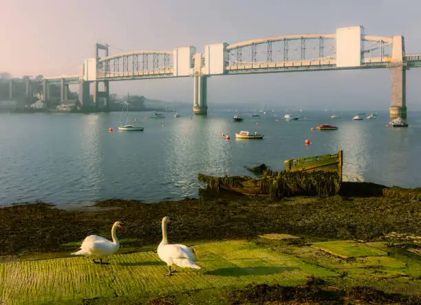 Photo of River Tamar with view of riverbank and swans with old bridge in the distance and boats. Portsmouth, UK.