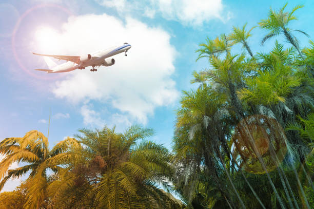 istock airplane flying over tropical palm trees. clear blue sky vacation time. 1350638165