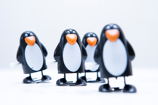 Wind-up plastic penguin toys