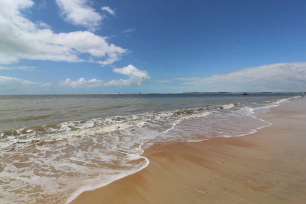 istock Caravelas Bahia Brazil 1350639438