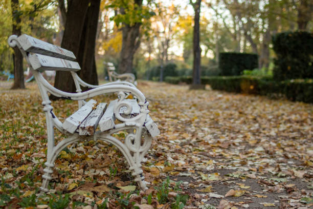istock Park outdoor with bench during autumn 1350640307