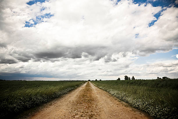 Empty country road with dramatic sky, bright green grass shoulders. Great concept for travel destination, infinity. Grain added for the sky.