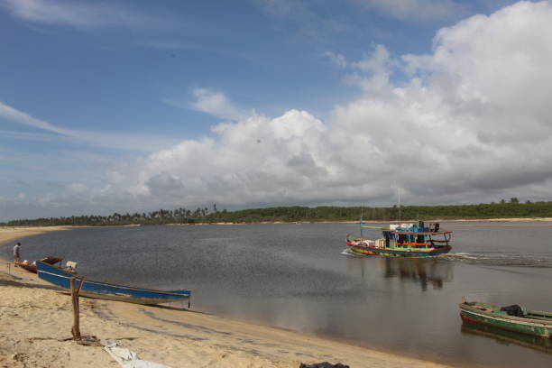 istock Caravelas Bahia Brazil 1350641889