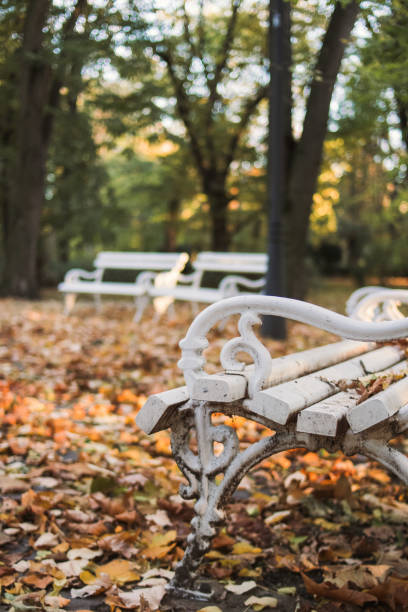 istock City park in fall
Beautiful autumn leaves 1350642661