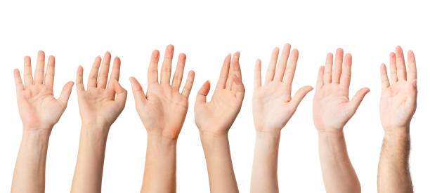 istock Group of people raised hands up as an approval, awerness or confirmation gesture 1350642694