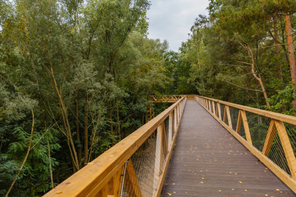 istock Footbridge among trees over small Szklarka river 1350642715