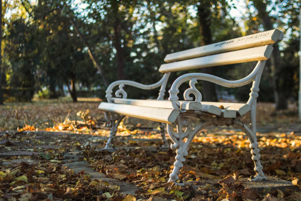 istock Park in autumn
Retro white bench in the park 1350642846
