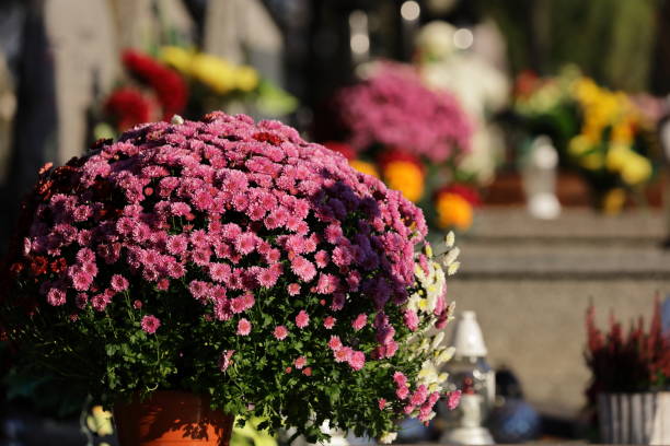 istock Cemetery, fowers 1350642950