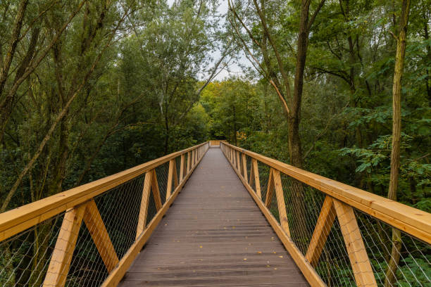 istock Footbridge among trees over small Szklarka river 1350642978