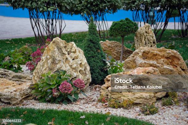 Beautiful Plants In A Decorated Flower Bed Near The House Stock Photo - Download Image Now