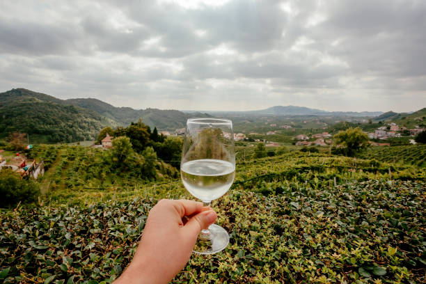 wine valley and wineglass over green terrace in italy - wine glass white wine wineglass imagens e fotografias de stock