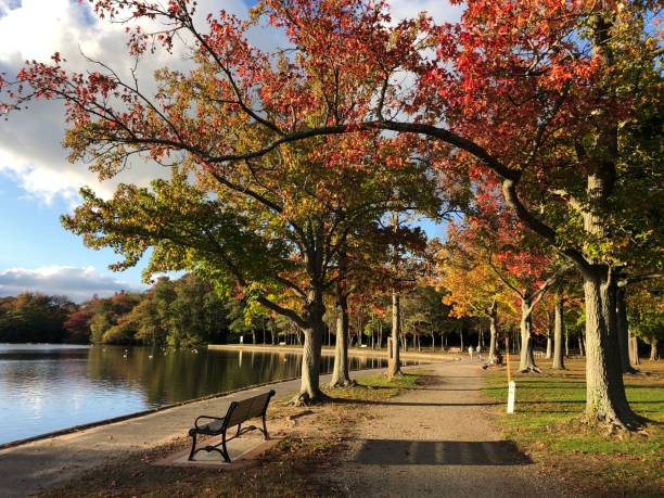 istock Fall Foliage by The Lake at Belmont Lake 1350645662