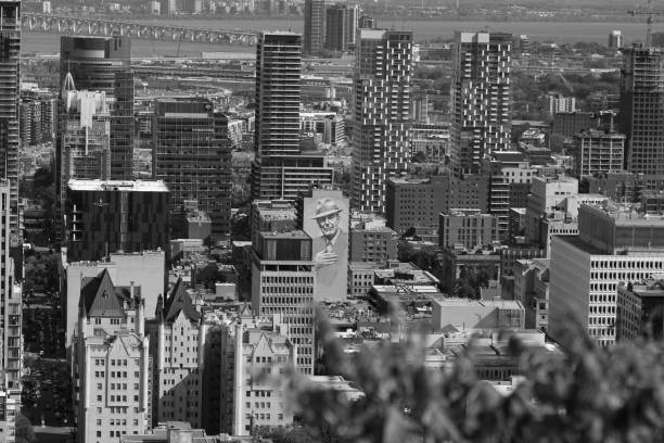 Montreal skyline from top of mount royal