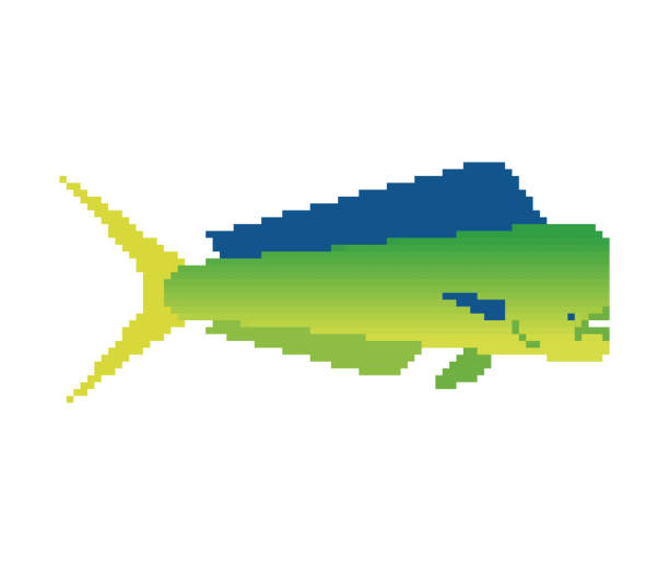ilustraciones, imágenes clip art, dibujos animados e iconos de stock de dorado fish pixel art. 8 bit mahi mahi pixelado. ilustración vectorial - coryphaena