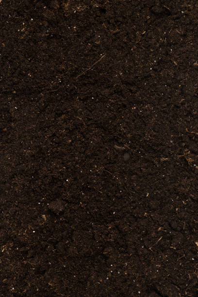 istock Soil for plant isolated on white background. 1350653631