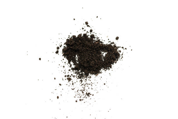 istock Black land for plant isolated on white background. 1350653639