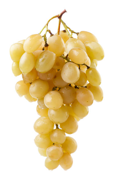 istock Grapes bunch on a white background. Isolated 1350654271
