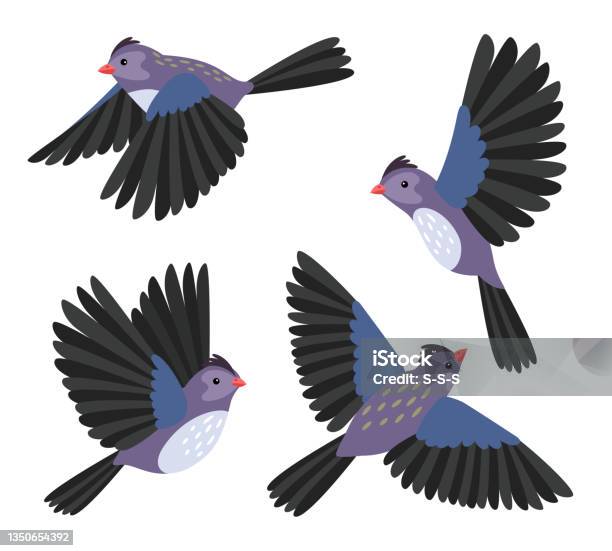 Ilustración de Pájaro Volador De Dibujos Animados Pájaros Volando Poses  Para Movimiento Y Animación Movimiento Vectorial