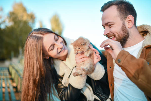 istock Smiling Coupe Playing With Stray Kitten Outside 1350657510