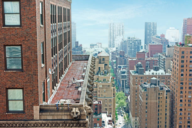 New York buildings from a higher level