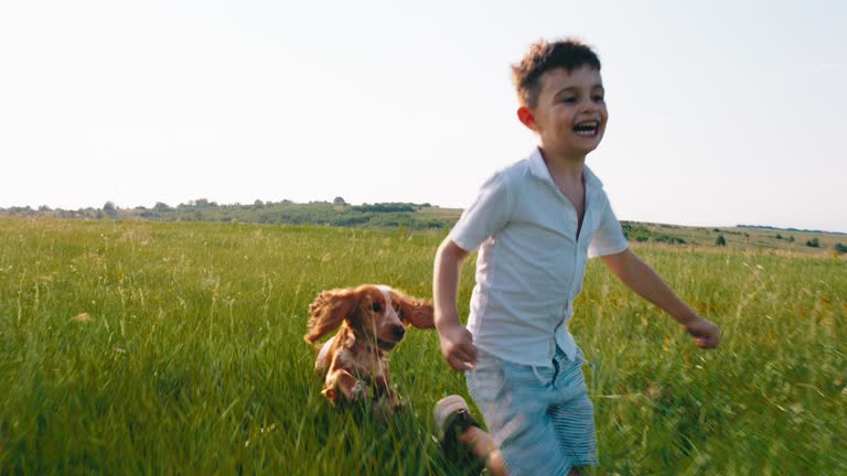 Good time speeding happy and smiling large cute boy six years old running with his cute small dog English cocker spaniel in front of the camera through the large grass field