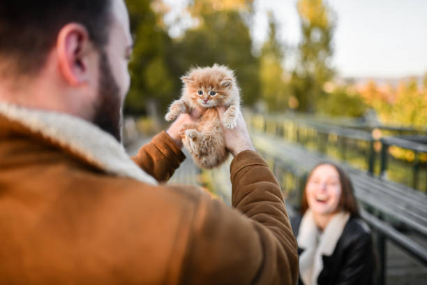 istock Male Bringing Stray Kitten As Gift For Girlfriend Outside 1350657540