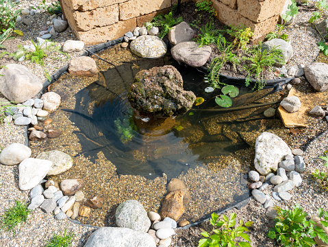 Small recently installed garden pond with bubbling rock, pebbles, gravel and fresh planting in garden