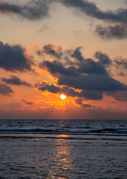 Beautiful sunset at the sea