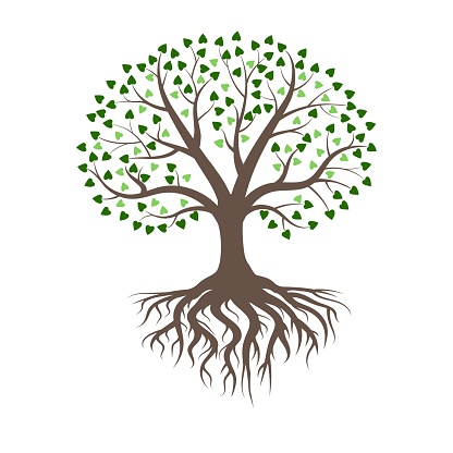 Rooted Tree Jpg Free rooted trees stock photos. Download the best free rooted trees ...