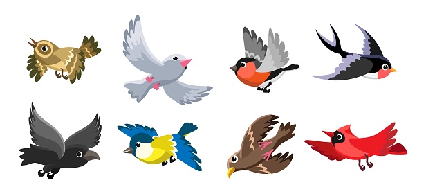 Cheerful flying birds. Cartoon bird set in fly motion isolated on white background, happy garden movement little birdie vector illustrations
