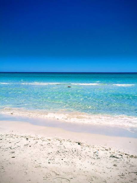 istock golden sea 1350660151