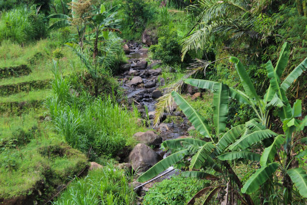 istock Narrow river near the slope 1350661143