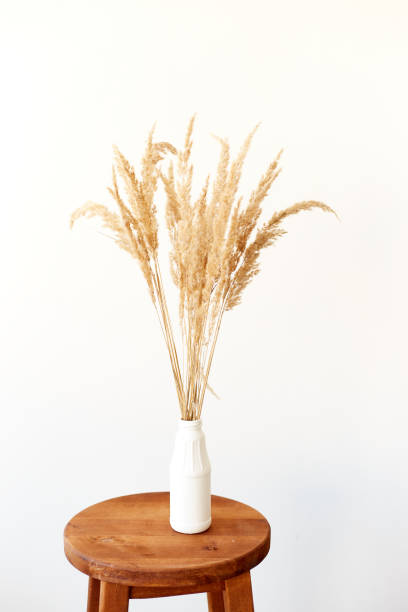 istock Branches of pampas grass in vase on light background. Interior decoration. Copy space 1350661868