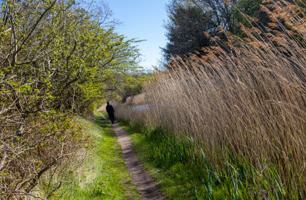 istock Man walking in the forest 1350662388