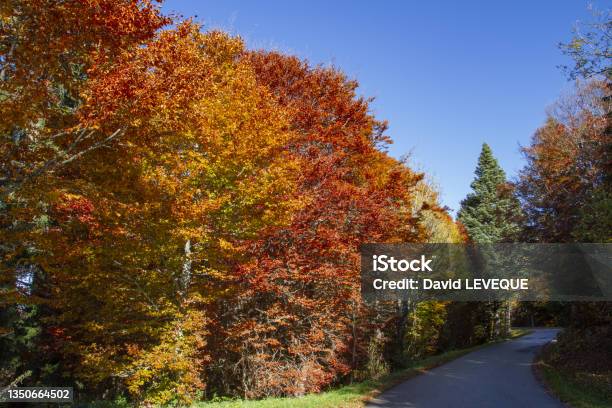 Autumn On Mont Salève Hautesavoie Stock Photo - Download Image Now - Autumn, Beauty, Beauty In Nature