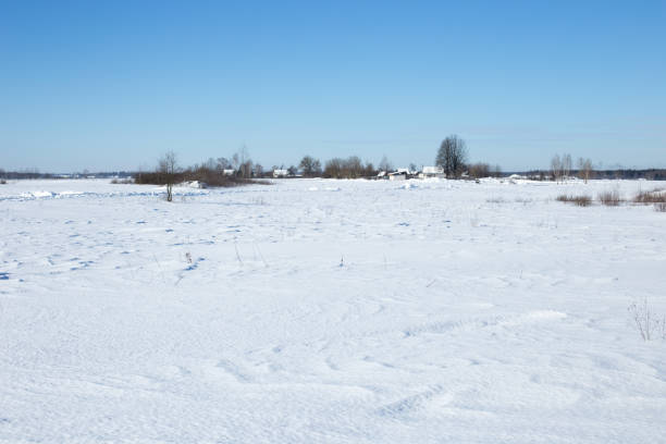 istock Winter landscape, blue skies and sparkling snow 1350665237