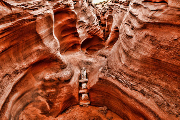 istock Rattlesnake Canyon Arizona 1350665522