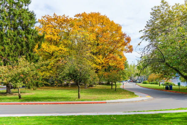 istock Colorful Autumn Seward Park 3 1350666560