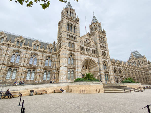 exterior del museo de historia natural, londres, reino unido - biological culture outdoors travel destinations architecture fotografías e imágenes de stock