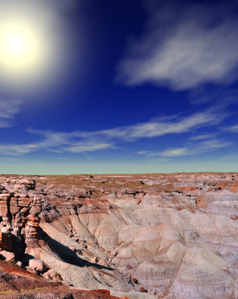 istock The petrified forest in Arizona 1350669605