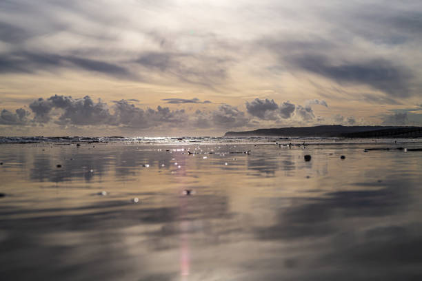 playa de winchelsea durante la marea baja - winchelsea fotografías e imágenes de stock