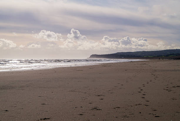 huellas en la arena - winchelsea fotografías e imágenes de stock