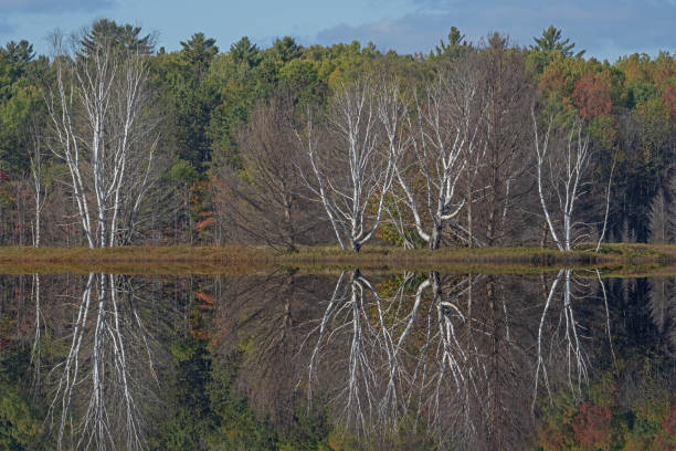 Autumn Reflections Big Twin Lake