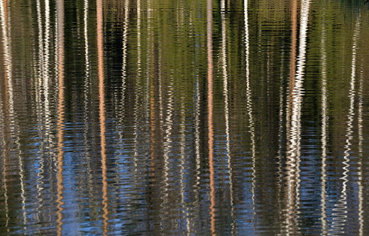 Reflection in lake water of autumn trees as background