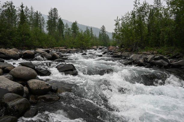 istock Putorana Plateau, a mountain stream. 1350673883