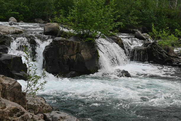 istock Putorana Plateau, a mountain stream. 1350674039