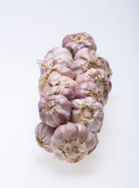 string of garlic isolated on white background - garlic hanging string vegetable imagens e fotografias de stock
